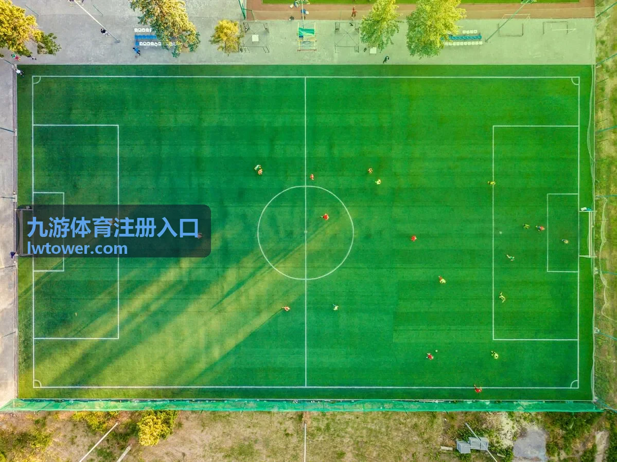 九游体育注册入口资料填写要点示意