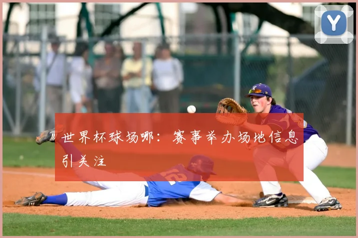 世界杯球场哪：赛事举办场地信息引关注