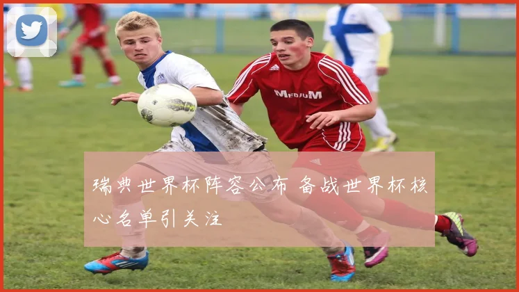 瑞典世界杯阵容公布 备战世界杯核心名单引关注