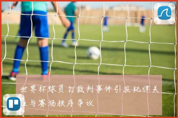 世界杯球员打裁判事件引发纪律关注与赛场秩序争议