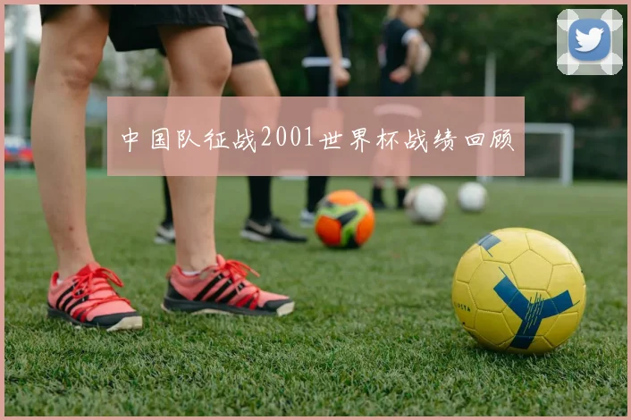 中国队征战2001世界杯战绩回顾