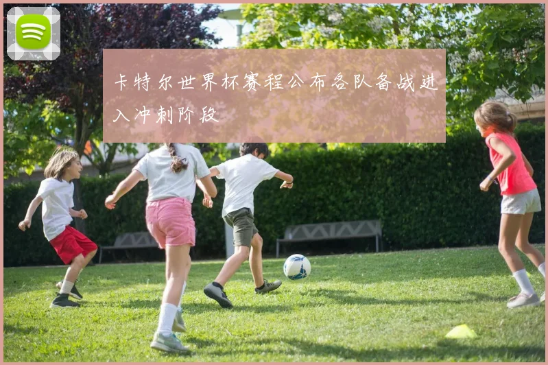 卡特尔世界杯赛程公布各队备战进入冲刺阶段
