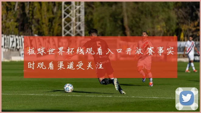 板球世界杯线观看入口开放 赛事实时观看渠道受关注